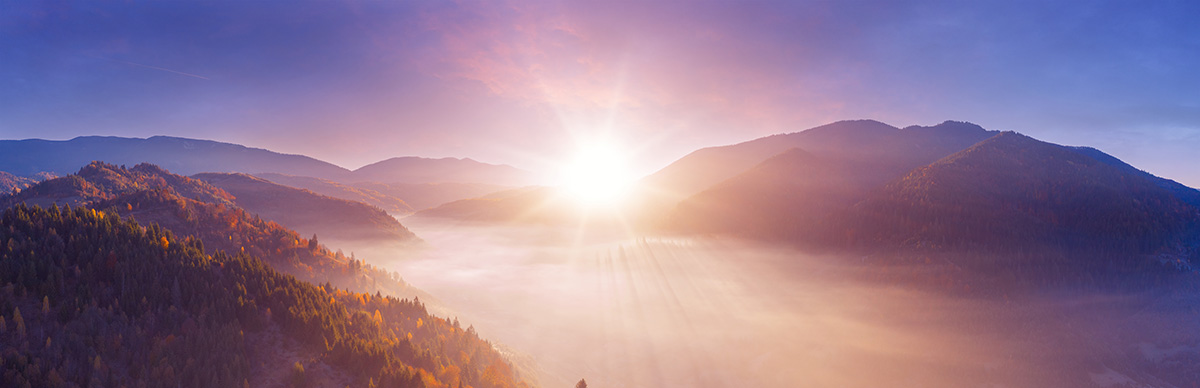 Wonderful autumn landscape. The rays of the sun in a brightly colored blurred autumn forest. Natural background.